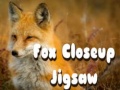 Cluiche Puzal Garbh Fox ar líne