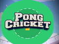 Cluiche Pong Cricket ar líne