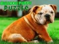 Cluiche Puiseog bulldog puppy ar líne