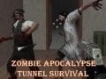 Cluiche D'Fhoirne ag an tSraid Zombi Apocalypse ar líne