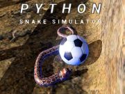 Cluiche Simúlóirí nÉan Python ar líne