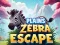 Cluiche Éalú na zebra na réigiúna ar líne