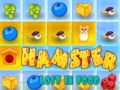 Cluiche Hamster Caillte I mBia ar líne