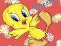 Cluiche Twelve Puzzals Tweety ar líne