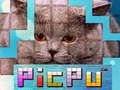 Cluiche PicPu Cat ar líne