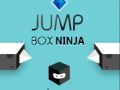 Cluiche Ninja Bosca Léim ar líne