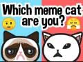 Cluiche Cad é an cat meme atá tú? ar líne