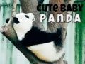 Cluiche Panda Bábóige Milis ar líne