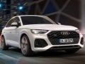 Cluiche Audi SQ5 TDI Sleachta ar líne