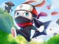 Cluiche Coinín Ninja ar líne