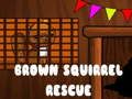Cluiche Turas Conaithe na Squirrel Brown ar líne