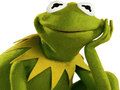 Cluiche Leabhar Dathúcháin Do Kermit an Frog ar líne