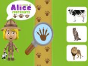 Cluiche Domhan Bróga Alice ar líne Cluiche Domhan Bróga Alice ar líne