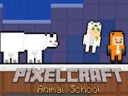Cluiche Scoil Ainmhithe PixelCraft ar líne