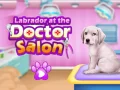 Cluiche Labrador ag an dochtúir ar líne