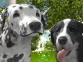 Cluiche Simuláiti Con 3D ar líne