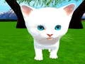 Cluiche Cat Cute ar lĂne Cluiche Cat Cute ar lĂne