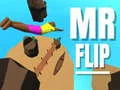 Cluiche An tUasal Flip ar lĂne Cluiche An tUasal Flip ar lĂne