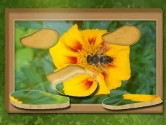 Cluiche Faigh & Athchóirigh: Freagra Hidden ar líne