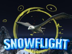 Cluiche Solas sneachta ar líne