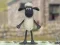 Cluiche Shaun an Aoibhinn: Gúna Woolly! ar líne