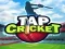 Cluiche Tap Cricket ar líne