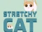 Cluiche Cat Síneadh ar líne