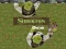Cluiche Shrek.Spraoi ar líne Cluiche Shrek.Spraoi ar líne