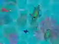 Cluiche Sharkz.io ar líne