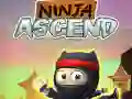 Cluiche Éirí Ninja ar líne Cluiche Éirí Ninja ar líne