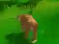 Cluiche Sim暂无e Tiger 3D ar líne