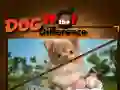 Cluiche Madra Faigh na Difríochtaí ar líne Cluiche Madra Faigh na Difríochtaí ar líne