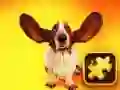 Cluiche Puza Madra Spraoi ar líne Cluiche Puza Madra Spraoi ar líne