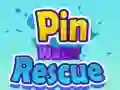 Cluiche Tóraíocht Uisce le Pins ar líne Cluiche Tóraíocht Uisce le Pins ar líne