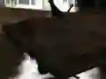 Cluiche Drift Z ar líne