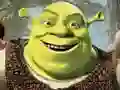 Cluiche Bailiúchán Puzzla Shrek ar líne Cluiche Bailiúchán Puzzla Shrek ar líne