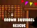Cluiche Turas Conaithe na Squirrel Brown ar lĂne Cluiche Turas Conaithe na Squirrel Brown ar lĂne