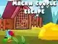 Cluiche Éscape na Péire Macaw ar líne