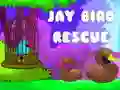 Cluiche Treo na nEalaí Jay ar líne Cluiche Treo na nEalaí Jay ar líne