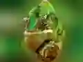 Cluiche Pu puzzle Chameleon ar líne Cluiche Pu puzzle Chameleon ar líne