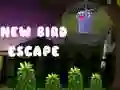 Cluiche Te escape Éan Nua ar líne Cluiche Te escape Éan Nua ar líne