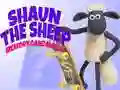 Cluiche Shaun an Tairbh: Cluiche Cuimhne ar líne