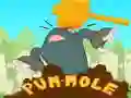 Cluiche Pum-Mole ar lĂne Cluiche Pum-Mole ar lĂne