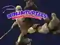 Cluiche Cárta Cuimhne na Ninja Turtail ar líne Cluiche Cárta Cuimhne na Ninja Turtail ar líne