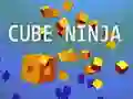 Cluiche Ninja Ciúb ar líne