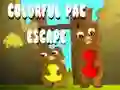 Cluiche Te escape Pac Dathúil ar líne Cluiche Te escape Pac Dathúil ar líne