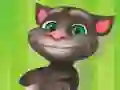Cluiche Flappy Tom Ag Dul Inghníomh ar líne