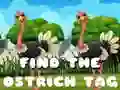 Cluiche Faigh an t-ainmneach ostrich ar lĂne Cluiche Faigh an t-ainmneach ostrich ar lĂne