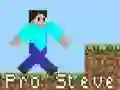 Cluiche Pro Steve ar líne