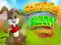 Cluiche Éalú Coinín Comhoibritheach ar líne Cluiche Éalú Coinín Comhoibritheach ar líne